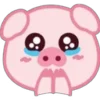 🐷