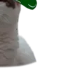 🐈