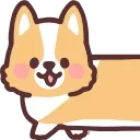 🐶
