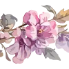 🌸