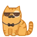 😎