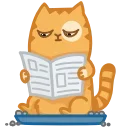 📰