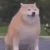 👀