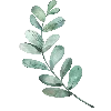 🌿