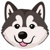 🐶