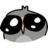 🦉
