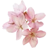 💐