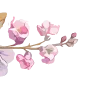 🌸