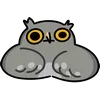 🦉