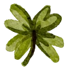 🍀