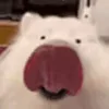 👅