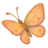 🦋