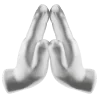 🙏