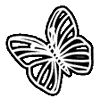 🦋