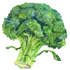 🥦