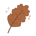 🍂