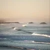 🌊