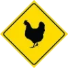 🐔