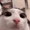 👁