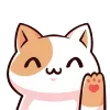 🐱