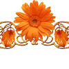 🌺