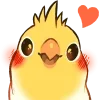 😍