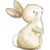 🐰