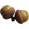 🌳