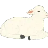 🐑