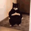 🔂