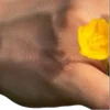 ⭐️