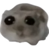 🐹