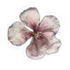 🌸