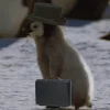 ®️
