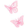 🦋