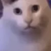 ⁉️