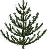 🎄