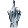🤍