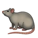 🐀