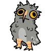 🦉