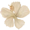 🌸