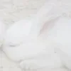 🎀