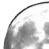 🌕