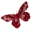 🦋