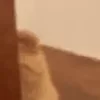👀