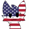 🇺🇸