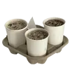 ☕️