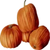 🎃