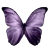 🦋