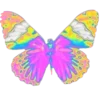 🦋